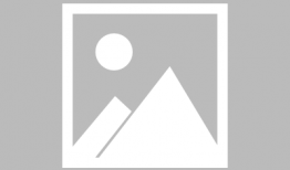 日本加勒比视频